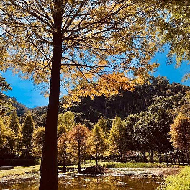 ▲圖片來源：IG@zhangjiji2