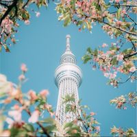 予備試験をみんなで攻略する！