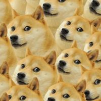 新版迷因調查局
