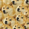 新版迷因調查局