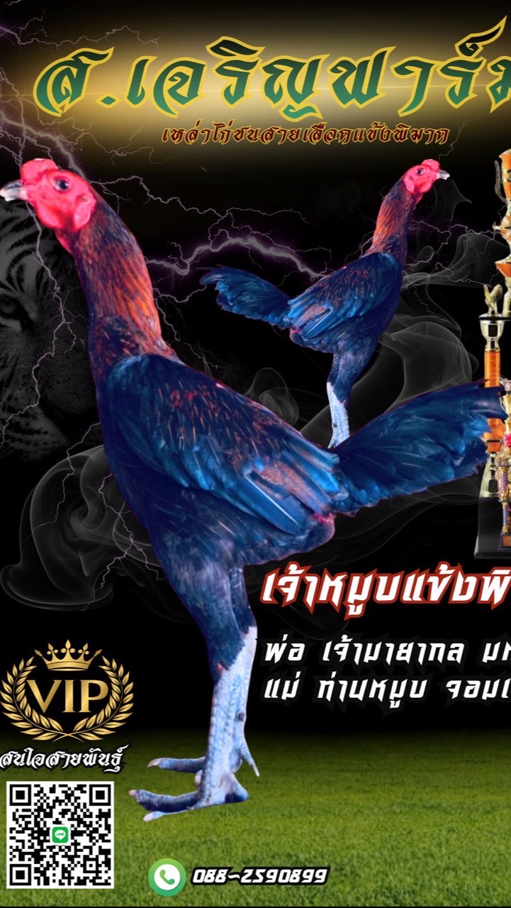 ส.เจริญฟาร์ม แพร่