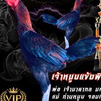 ส.เจริญฟาร์ม แพร่