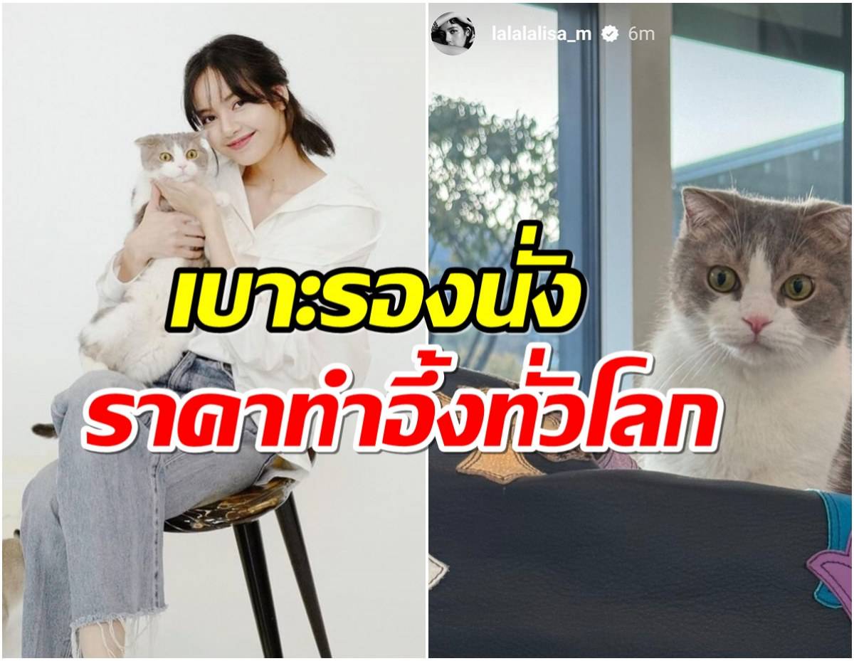 LisaBLACKPINK's Cat Liv Causes a Stir with Expensive Bean Bag Pose