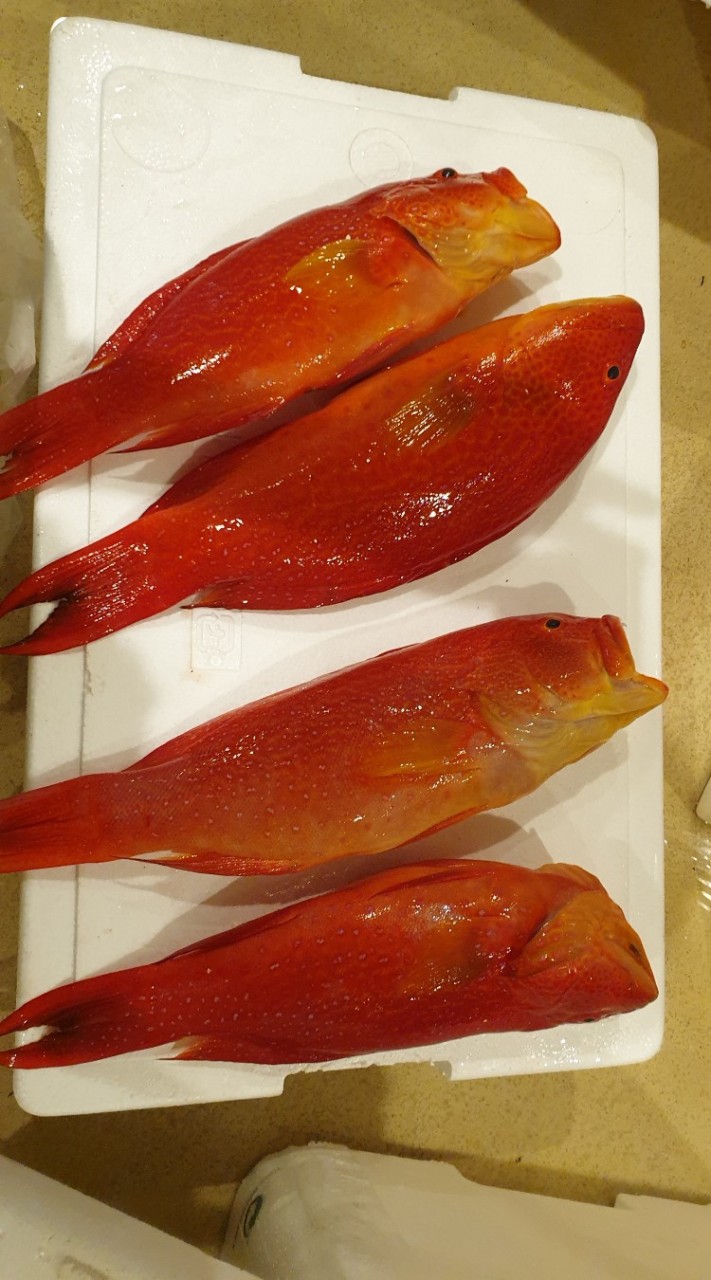 奇鮮水產