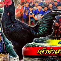 ซุ้ม.เศรษฐีวุฒิ อุบล