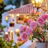 花好き家庭菜園ライブトーク
