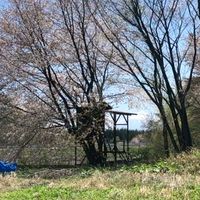 物件0418