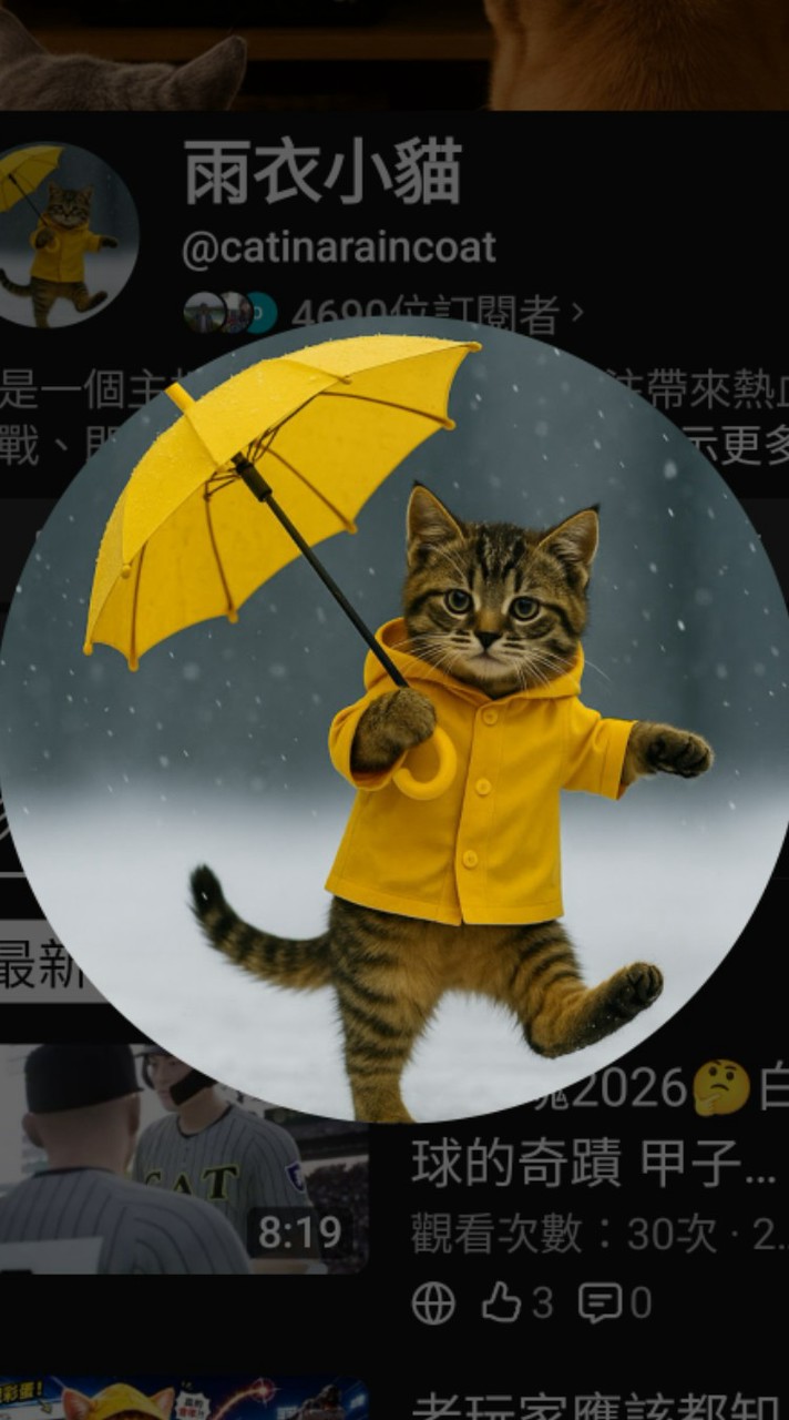 雨衣小貓 遊戲同樂會