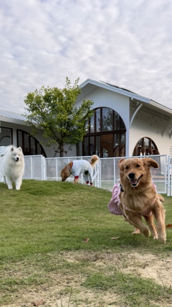 FO and friends club🐶🐈