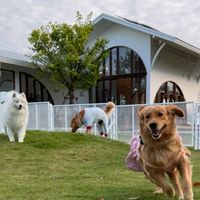 FO and friends club🐶🐈
