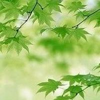 🌿シニア🌈気楽に楽しく語ろう癒し和らぎの部屋☕️