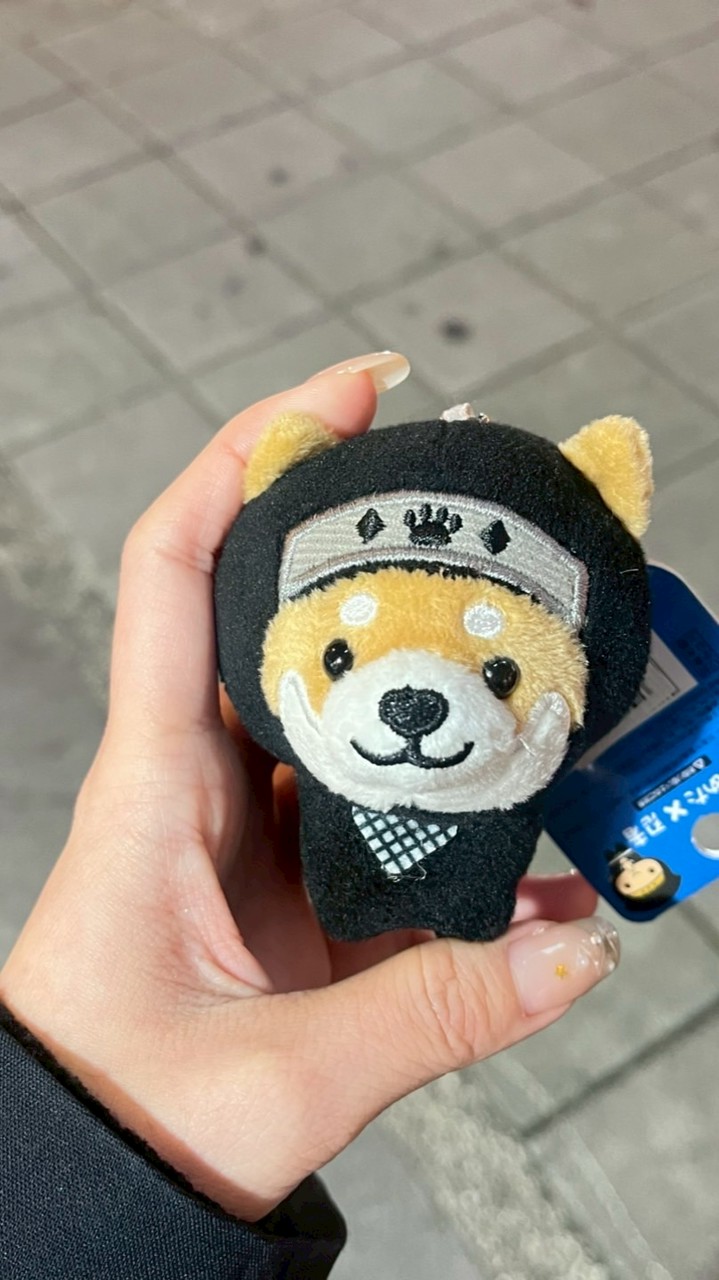 mini醬 旅遊推薦