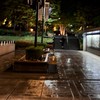 春から佛教大学2026 教育学部