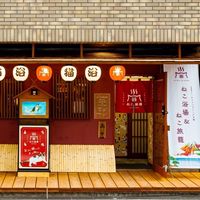 猫浴場♨️応援オプチャ📣