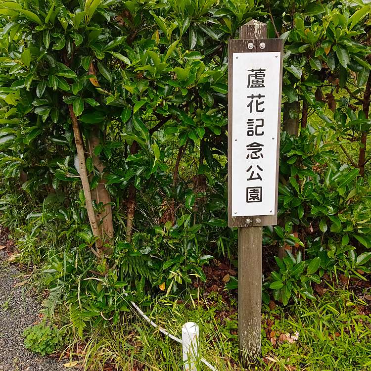 蘆花記念公園 ロカキネンコウエン 桜山 逗子 葉山駅 公園 By Line Place