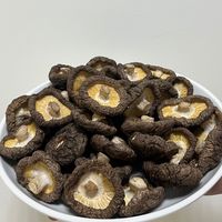 新社觀峰農產行 香菇自產自銷