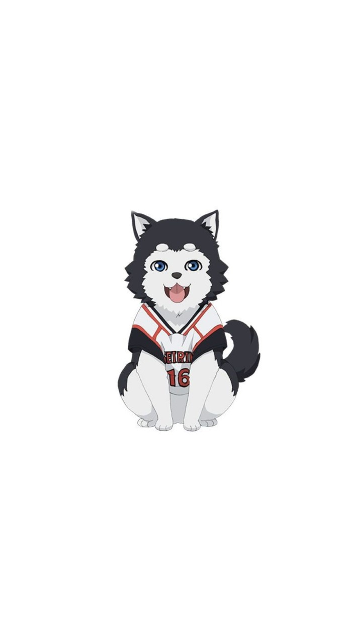 黒バス大運動会（仮）