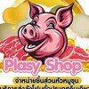 Slasy Shop ชิ้นส่วนหัวหมูขุนราคาส่ง นครปฐม