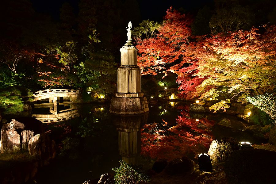 京都-知恩院-友禪苑夜楓