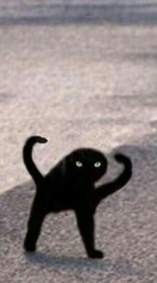 Loona hula hoop