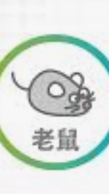 🐭鼠在有料（苗栗、竹南、頭份）