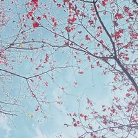 老鐵乒乓打球交流群組
