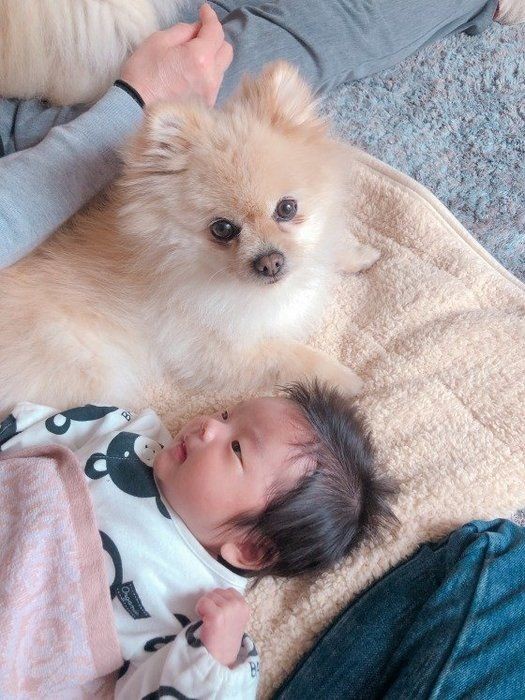 犬が飼い主さんを大切な仲間と感じてるしぐさ