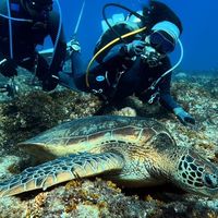 中部潛水人Friendly Lobby room