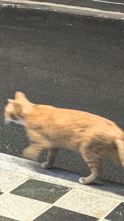 INI  プラメ  共有   💌💭