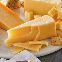 Cheese Lover ชีส