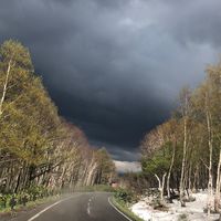 ひらふ裏社会