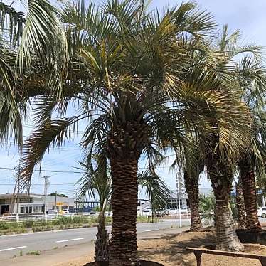 関東ガーデン カントウガーデン 八千代町 高崎駅 造園 植木 By Line Place