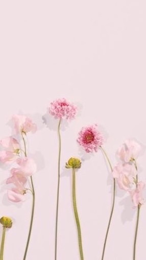 心と見た目のbeauty lesson