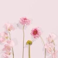 心と見た目のbeauty lesson