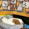 ヤポンスキーこばやし画伯