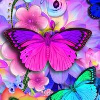 予備部屋🎀癒しの雑談🎀のんびり何でも話そうね🌟