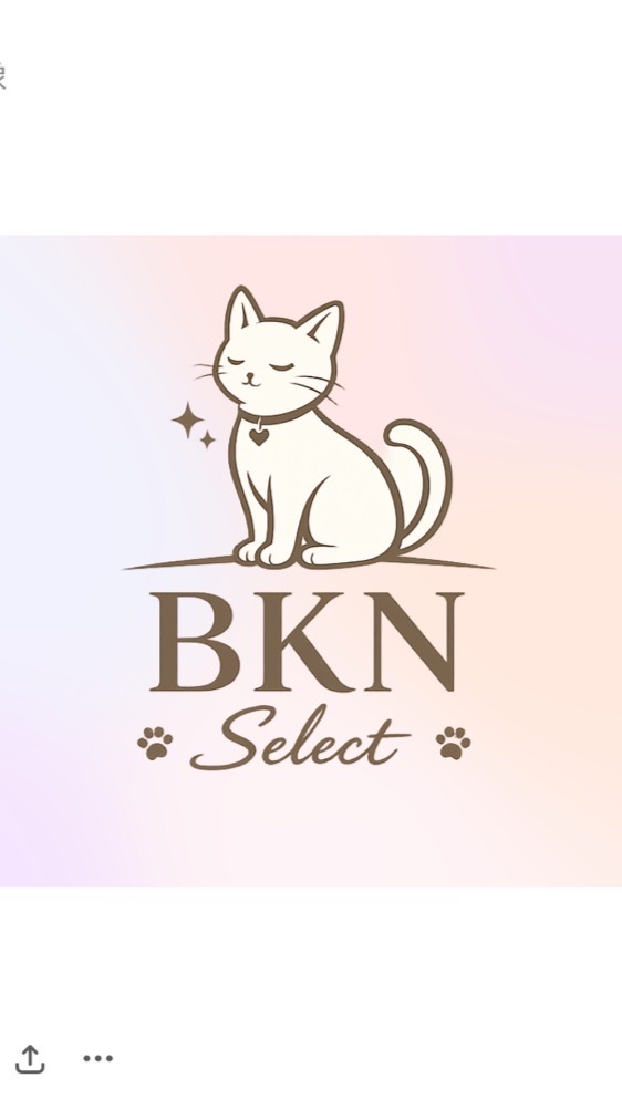 🎀BKN Select｜連線代購
