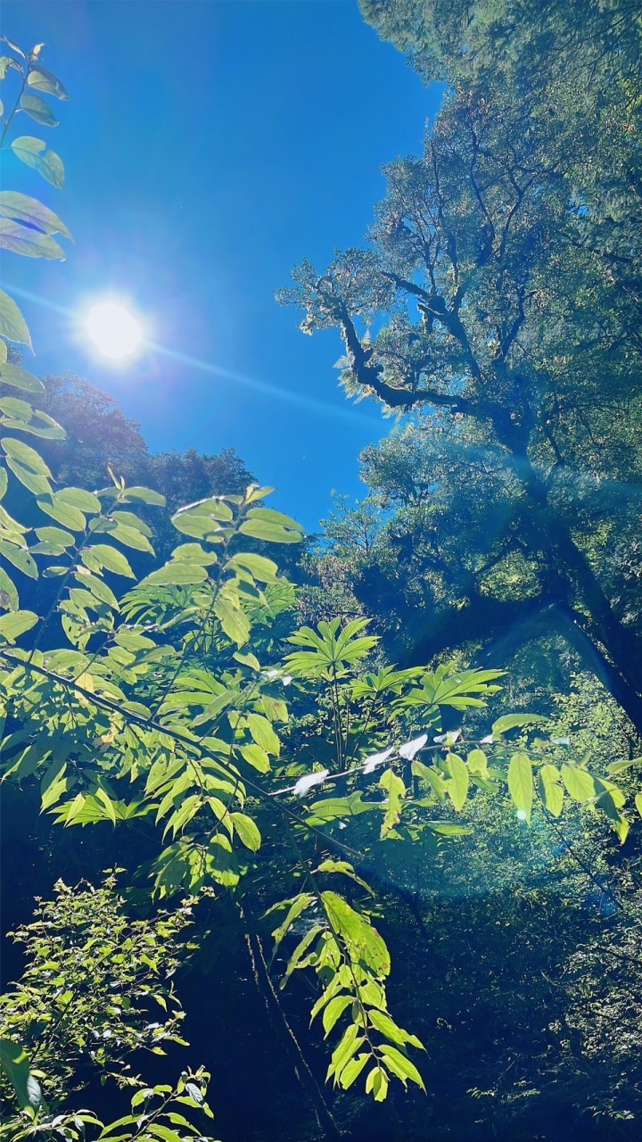 中部爬山旅遊～新手村