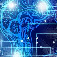 Dr.Brain 栗山校