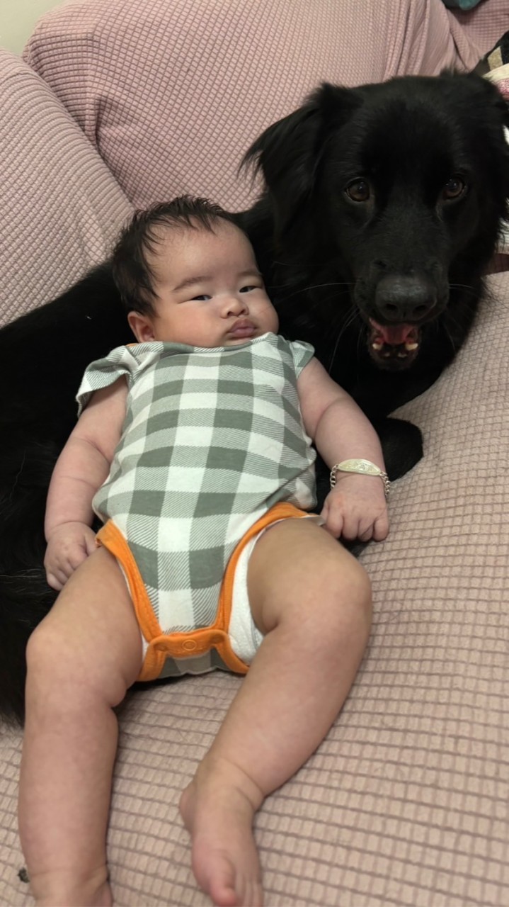 小小小公司
