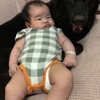 小小小公司