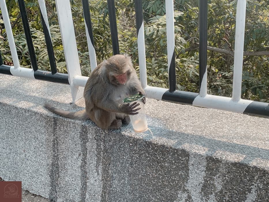 壽山動物園