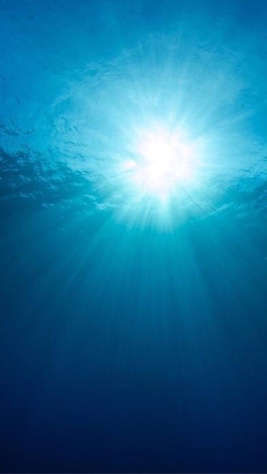 海之子潛水裝備團購區