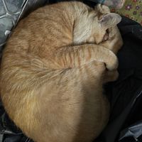 RO邊緣人互助會