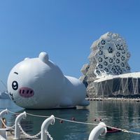 可愛又活潑的飯桶木笛小班609