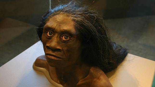  Homo Floresiensis, Manusia Kerdil Tertua di Indonesia