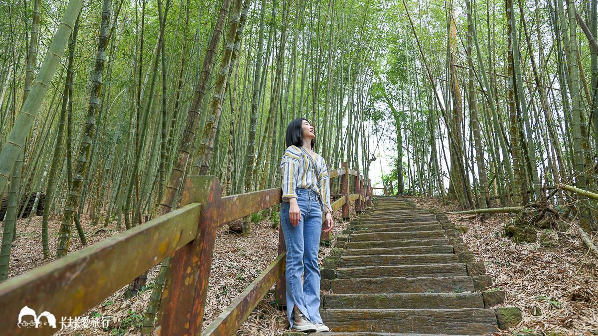 嘉義最消暑玩法！２大瀑布祕境＋10條森林步道：阿里山五星級步道、嵐山竹林