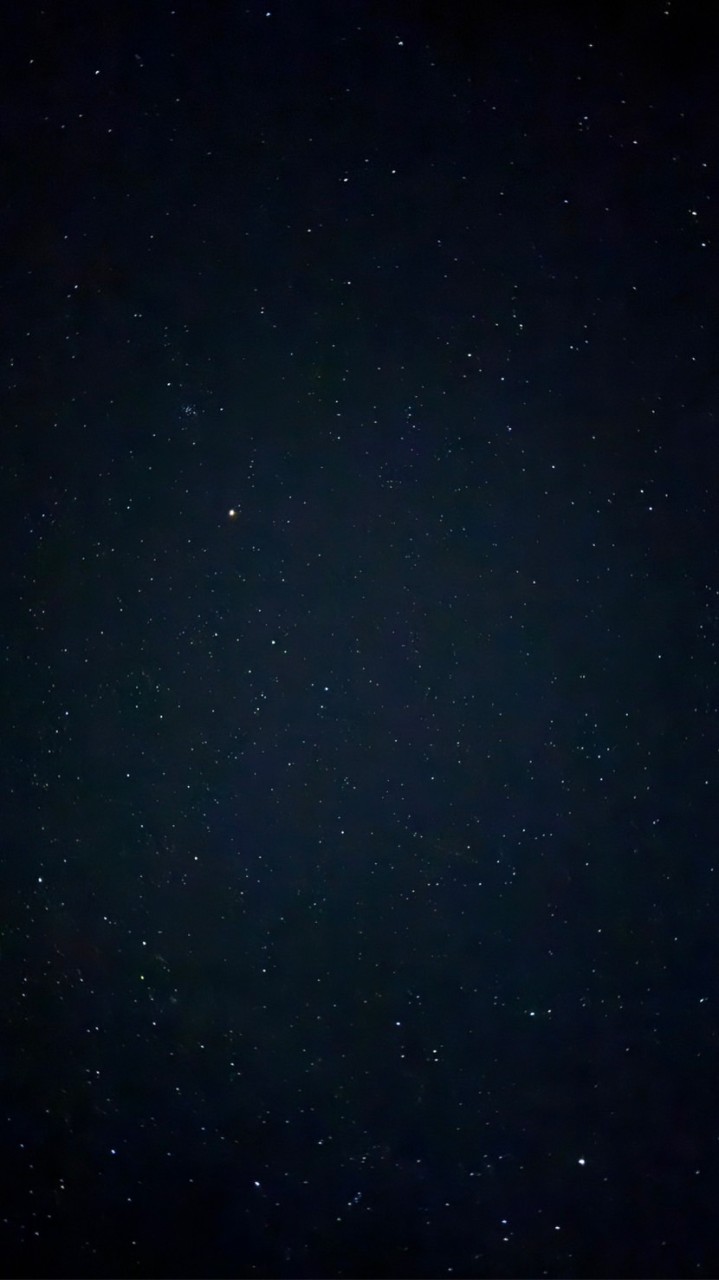 ゆーの生活