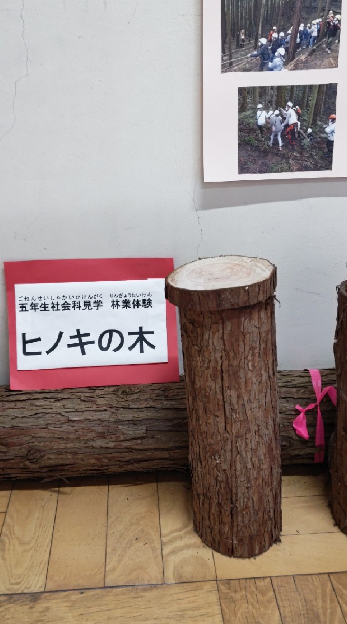 身近森人材発掘PJ