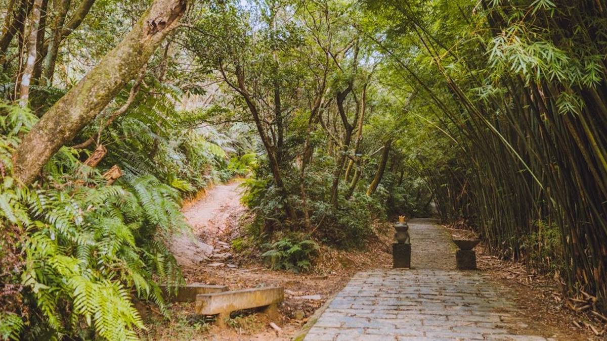 輕鬆好走不費力！內湖６條森林步道：80米「S型空中長廊」、紫色龍形吊橋